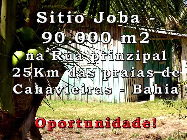 Foto 1 - Sitio joba- canavieiras bahia ? brasil